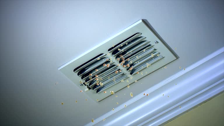 Best Air Duct Cleaning Company Near Me  in Chamberlain, SD